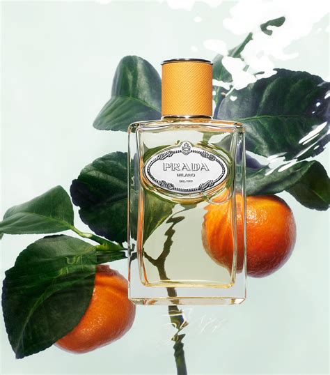 prada mandarine kaufen|Fragrances Infusion de Mandarine EDP 100 ml .